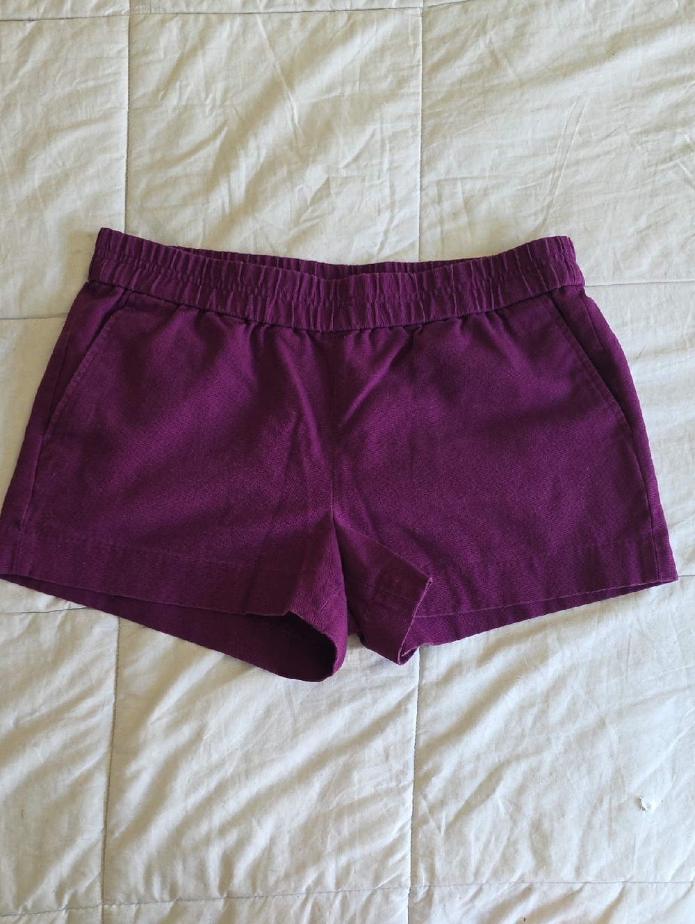 J. Crew Women's Plum Pull-On Shorts